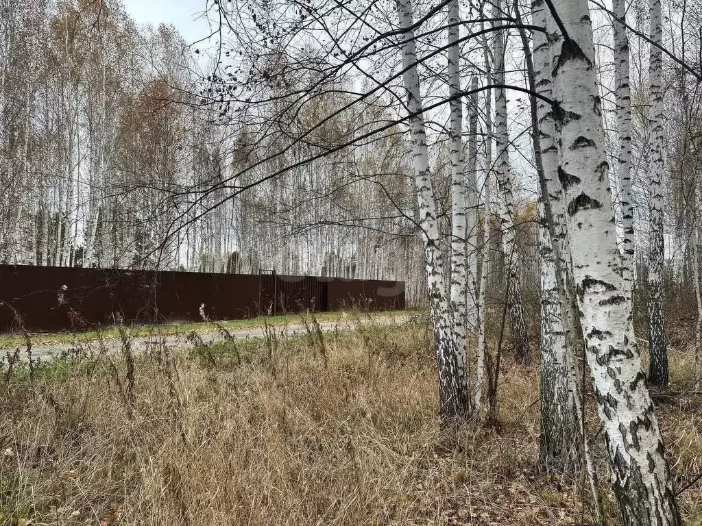 Участок в Тюменская область, Нижнетавдинский муниципальный округ, ... - Фото 0