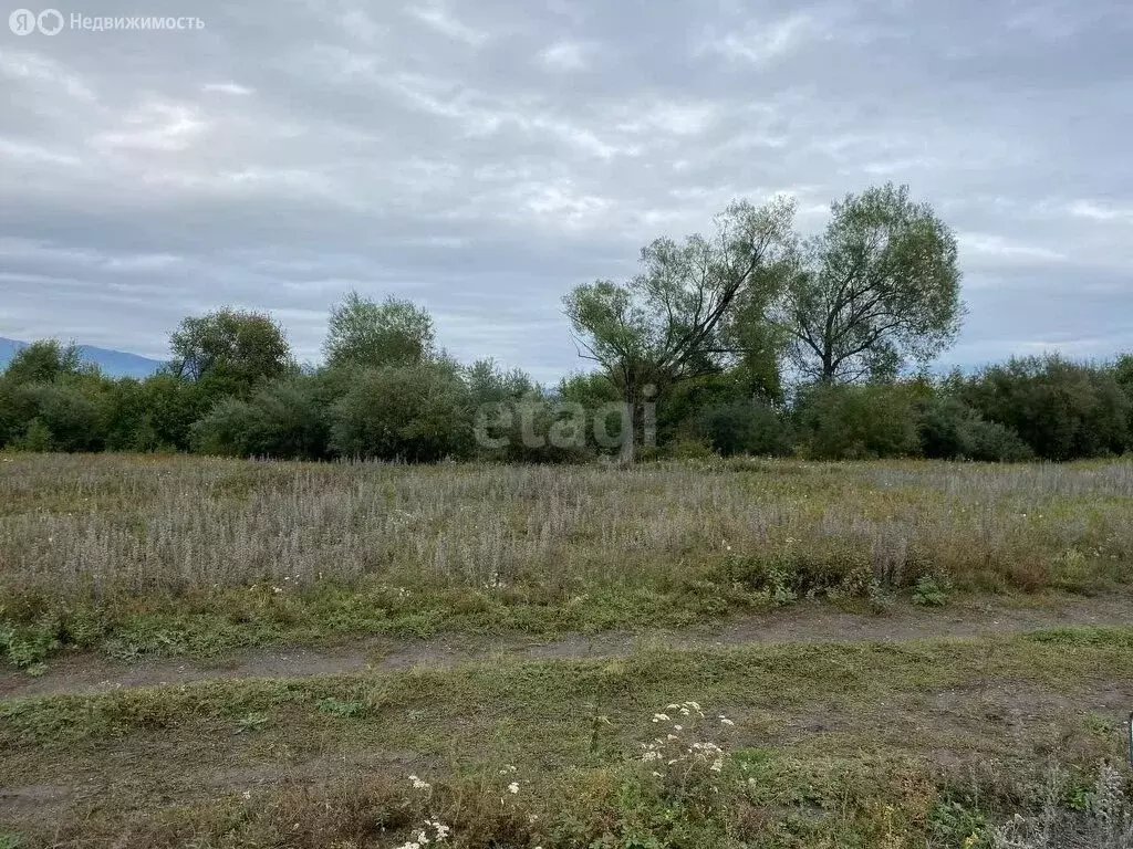 Участок в село Усть-Кокса, улица Шукшина (14.5 м) - Фото 1