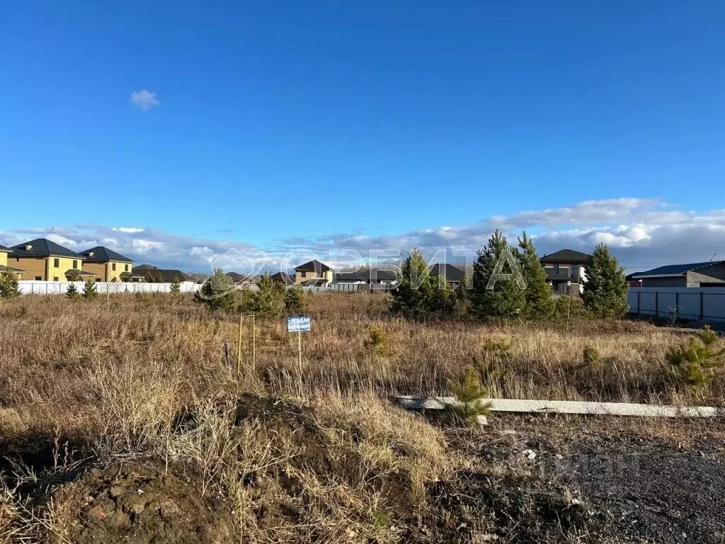 Участок в Тюменская область, Тюменский район, с. Луговое бул. ... - Фото 1