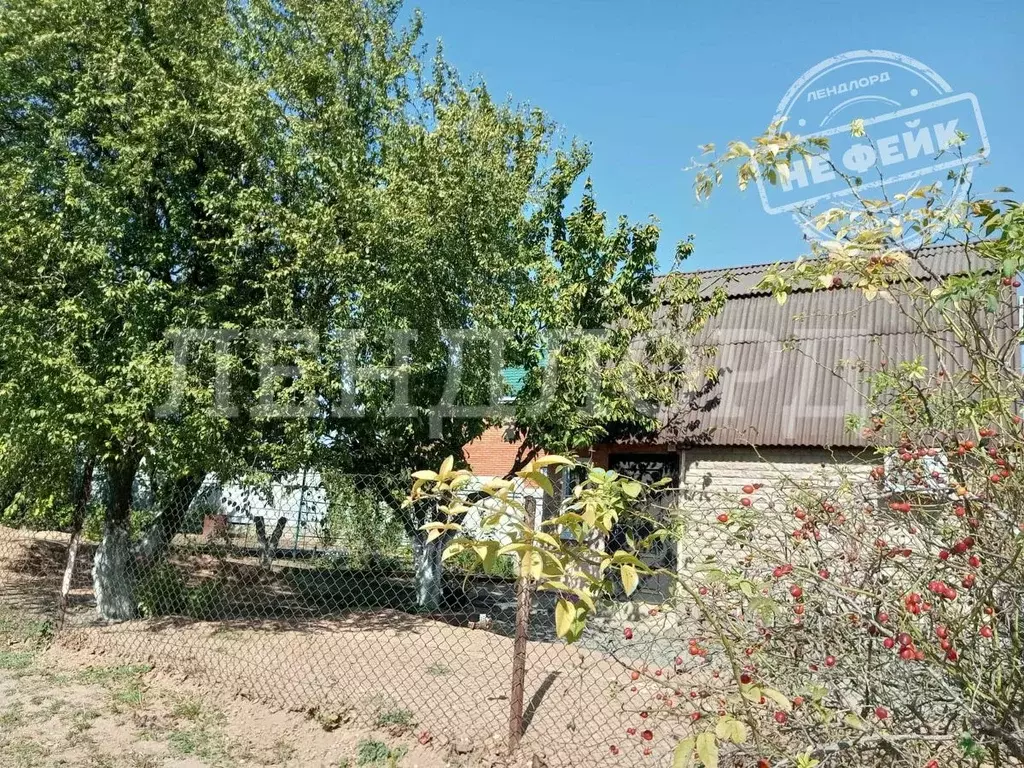 Участок в Ростовская область, Ростов-на-Дону Мечта СНТ,  (6.0 сот.) - Фото 1