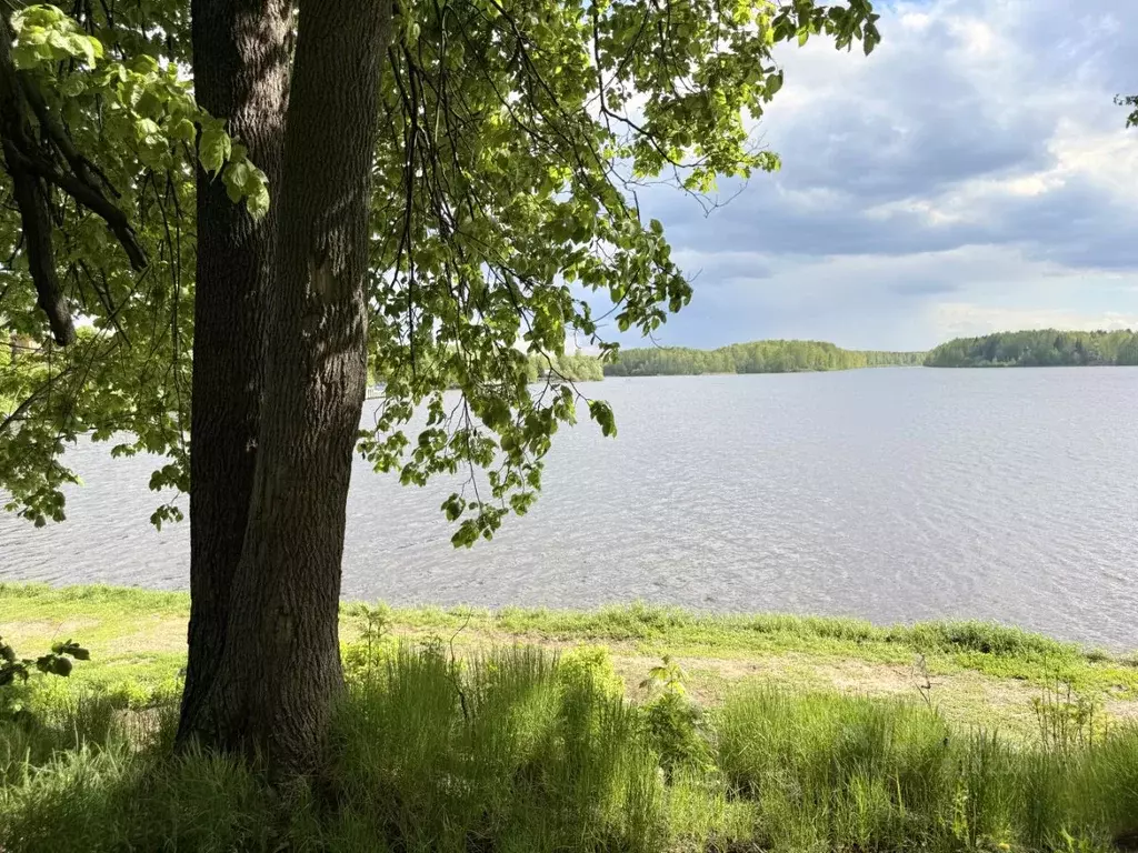Участок в Московская область, Мытищи городской округ, д. Юрьево ул. ... - Фото 1