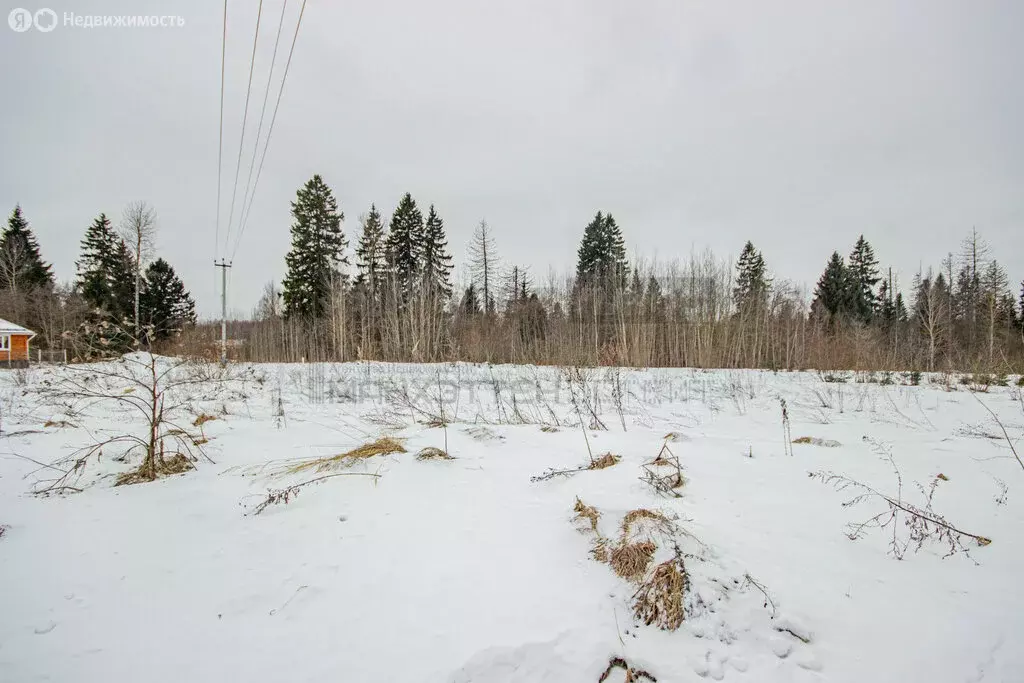 Участок в Московская область, городской округ Клин, коттеджный посёлок ... - Фото 1