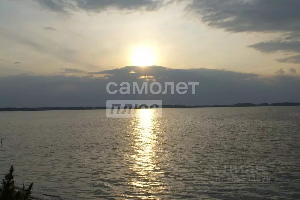 Участок в Челябинская область, Красноармейский район, Лазурненское ... - Фото 0