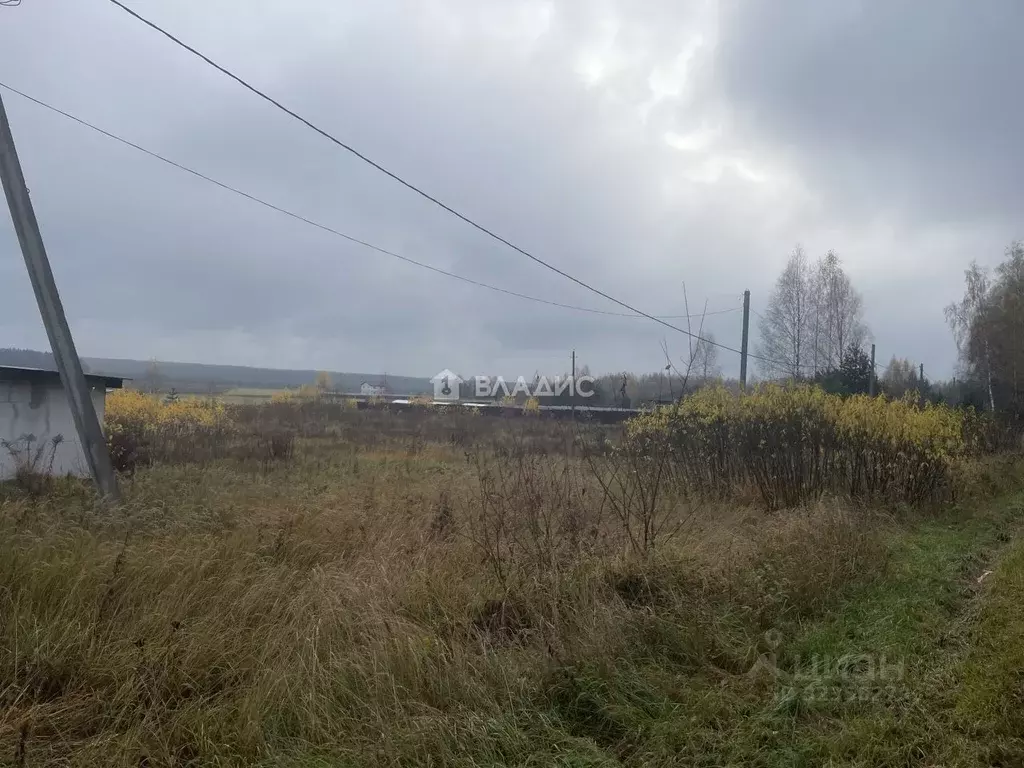 Участок в Владимирская область, Судогодский район, с. Чамерево ул. ... - Фото 1