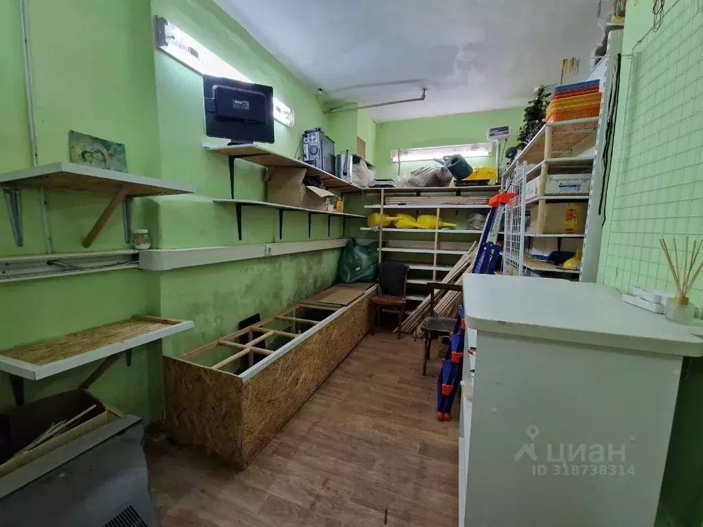 Помещение свободного назначения в Нижегородская область, Бор ... - Фото 0
