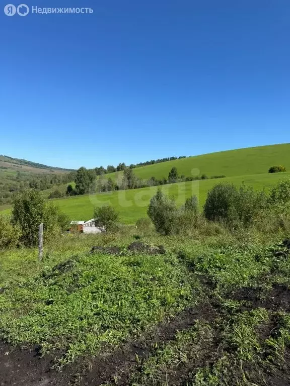 Участок в посёлок Алфёрово, улица Д.П. Абраменко (10 м) - Фото 2