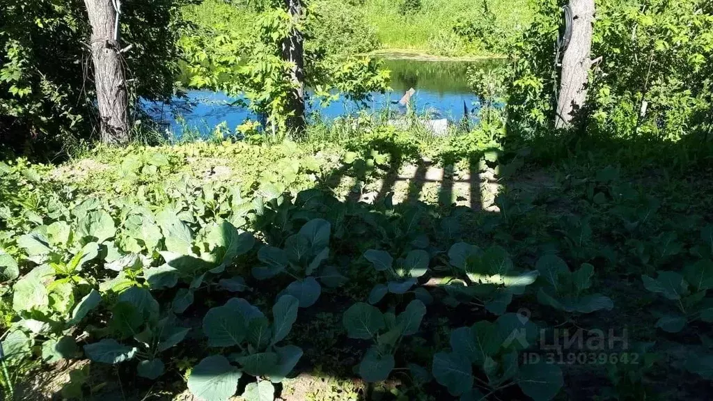 Участок в Новосибирская область, Коченевский район, Дружба-2 СНТ  (5.0 ... - Фото 0