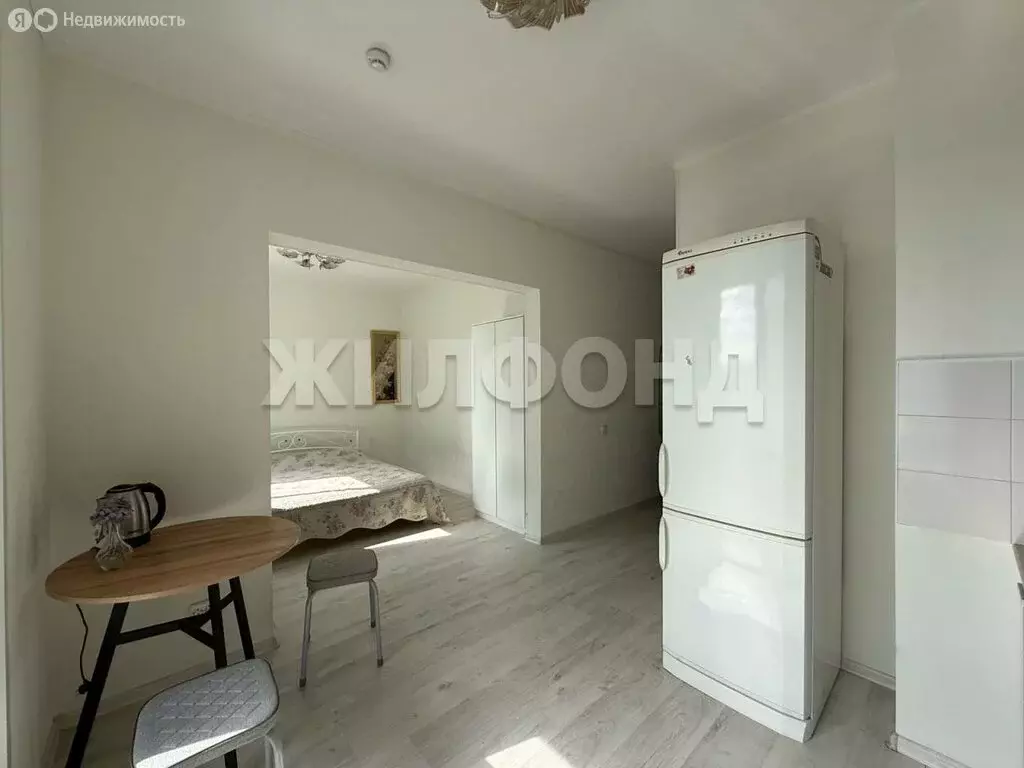 Квартира-студия: Новосибирск, улица Александра Чистякова, 22 (27.3 м) - Фото 1