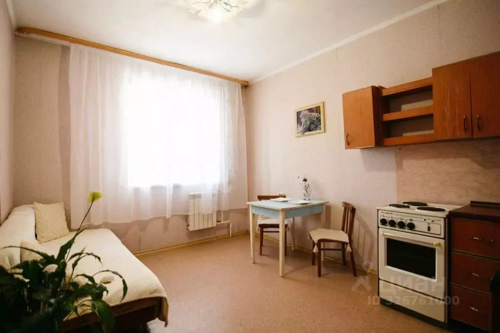 Студия Амурская область, Благовещенск Высокая ул., 202 (18.6 м) - Фото 1