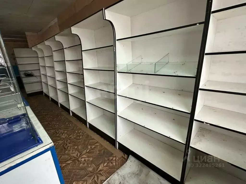 Торговая площадь в Вологодская область, Грязовецкий муниципальный ... - Фото 2