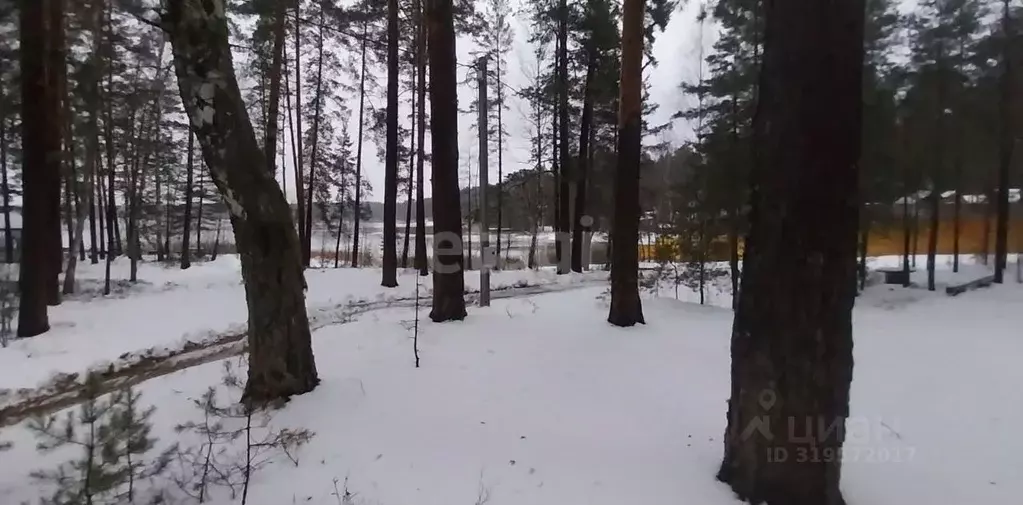 Участок в Нижегородская область, Навашинский муниципальный округ, с. ... - Фото 1
