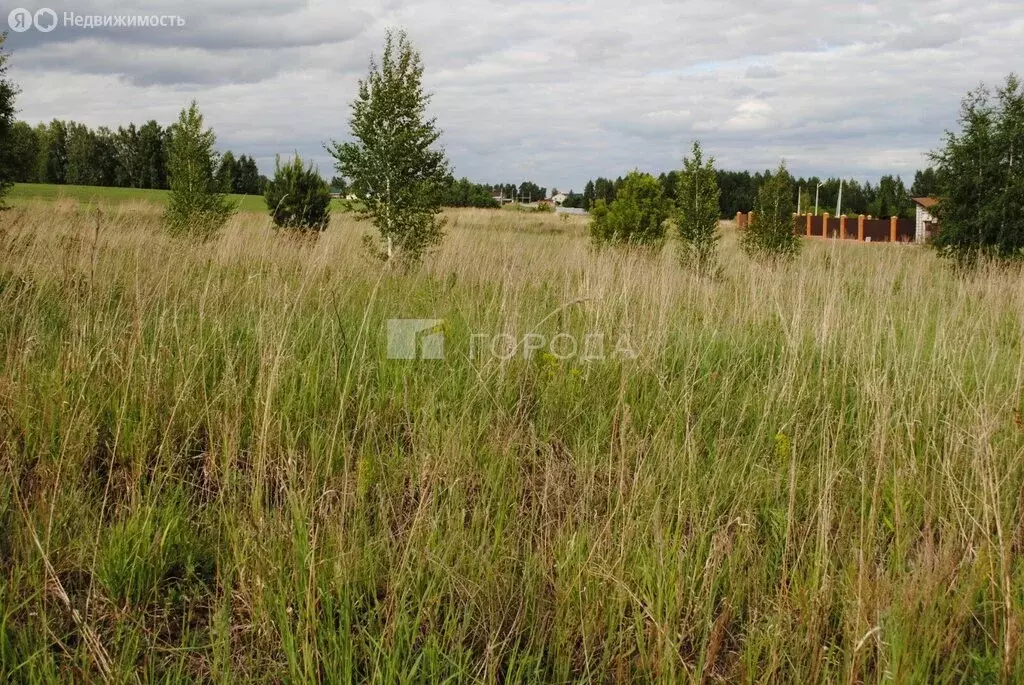 Участок в Ленинское, 6-й Морской проезд (8.66 м) - Фото 2