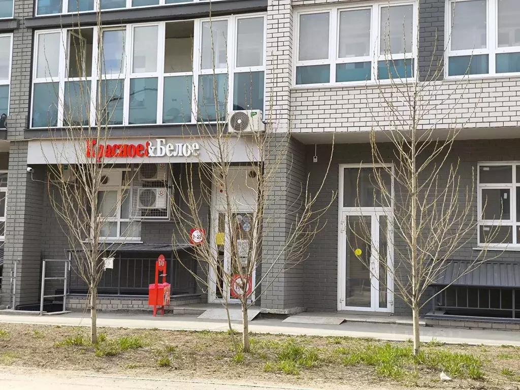 Помещение свободного назначения в Алтайский край, Барнаул ул. Петра ... - Фото 2