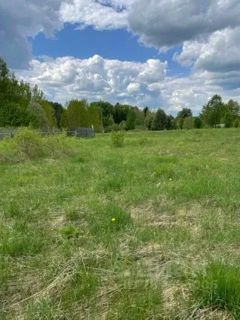 Участок в Кировская область, Орловский район, д. Скозырята 6 (18.5 ... - Фото 0