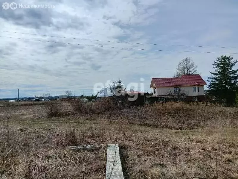 Участок в Пермский край, Ильинский муниципальный округ, село Филатово ... - Фото 2