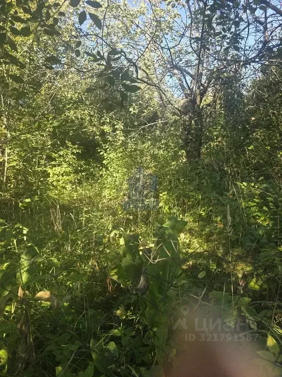 Участок в Чувашия, Чебоксары Текстильщик СНТ, 60 (8.2 сот.) - Фото 2