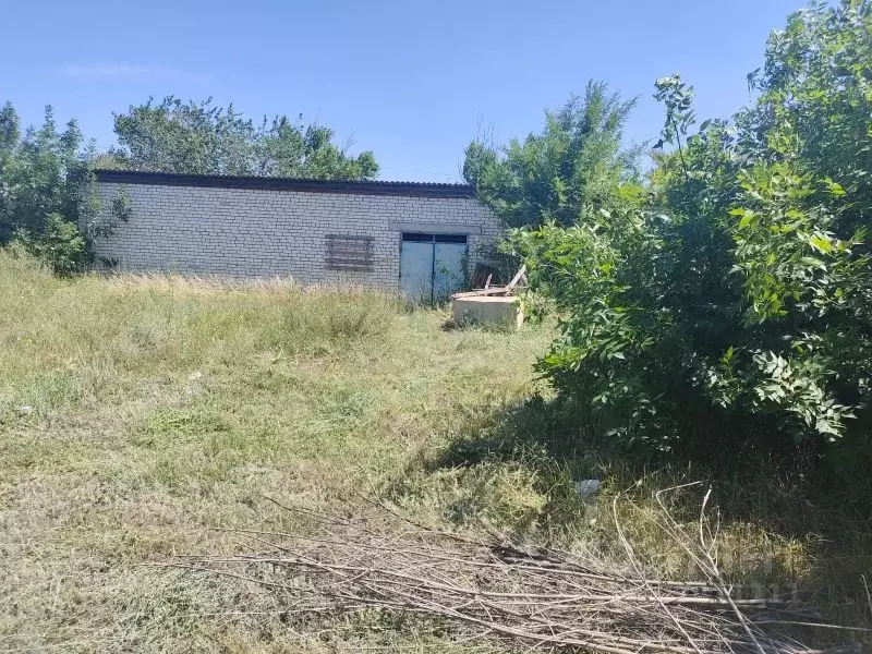 Помещение свободного назначения в Волгоградская область, Николаевск ... - Фото 0