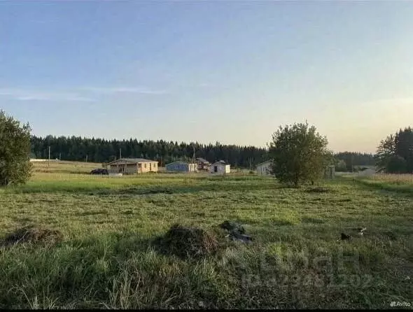 Участок в Пермский край, Пермский муниципальный округ, д. Валевая ул. ... - Фото 1