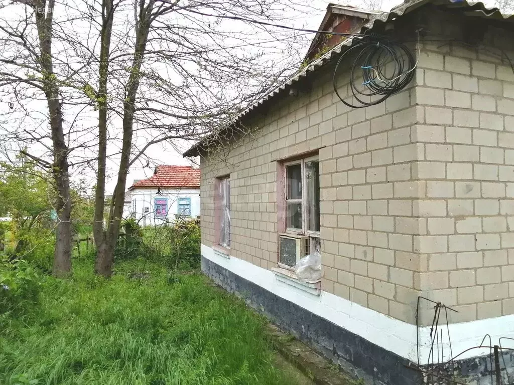 Дом в Кировское, улица Шевченко, 19 (47.7 м) - Фото 2