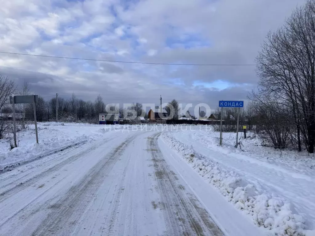 Участок в Пермский край, Березники муниципальный округ, д. Кондас ул. ... - Фото 1