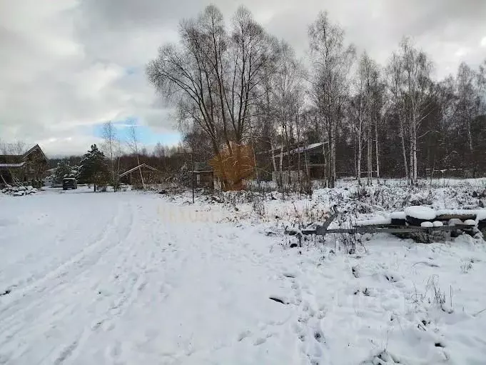 Участок в Московская область, Чехов городской округ, д. Хлевино 17 ... - Фото 1