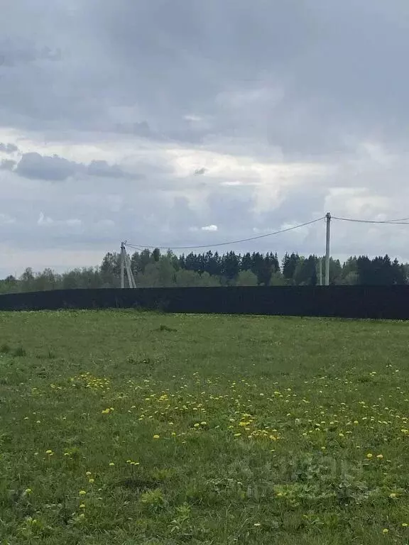 Участок в Московская область, Можайский муниципальный округ, д. ... - Фото 1