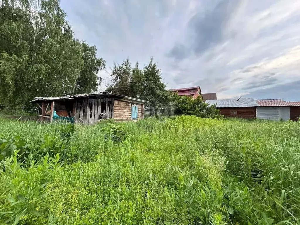 Участок в Алтай, Майминский район, с. Майма ул. Механизаторов (10.8 ... - Фото 0