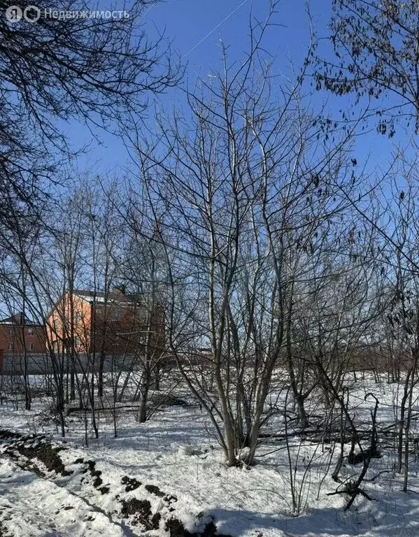 Участок в Большой Лог, Зелёная улица, 8 (10 м) - Фото 1