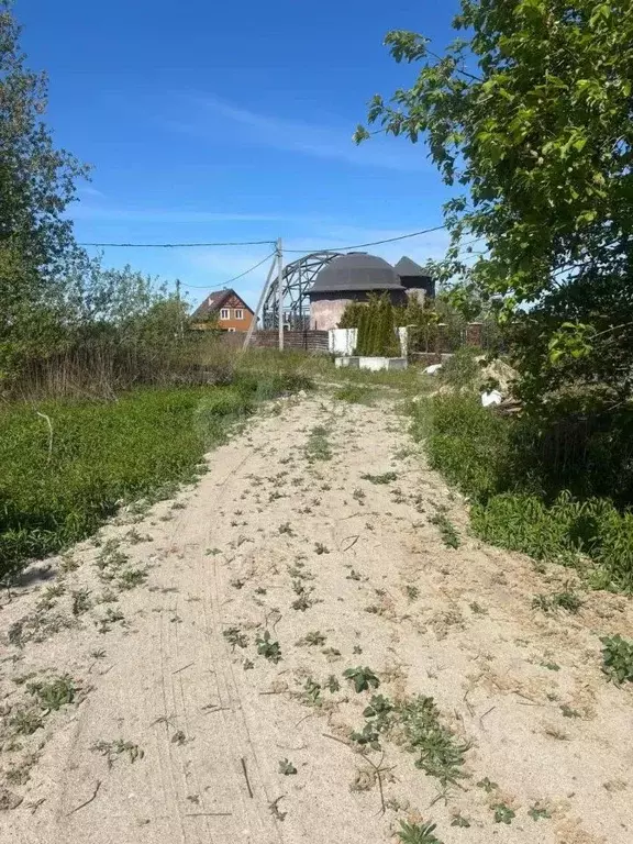 Участок в Калининградская область, Калининград  (6.5 сот.) - Фото 2