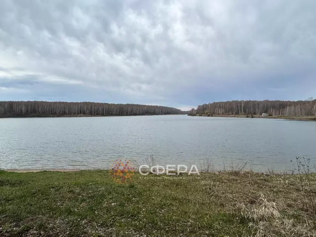 Участок в Новосибирская область, Новосибирский район, Березовский ... - Фото 1