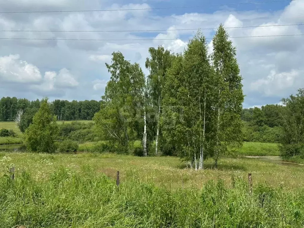 Участок в Новосибирская область, Новосибирский район, Станционный ... - Фото 0