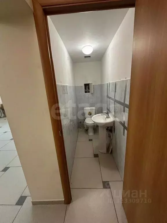 Помещение свободного назначения в Новосибирская область, Новосибирск ... - Фото 1