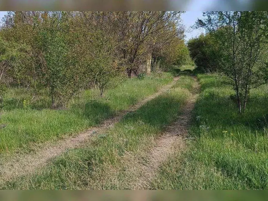 Участок в Ленинградская область, Киришский район, Кусинское с/пос, ... - Фото 1