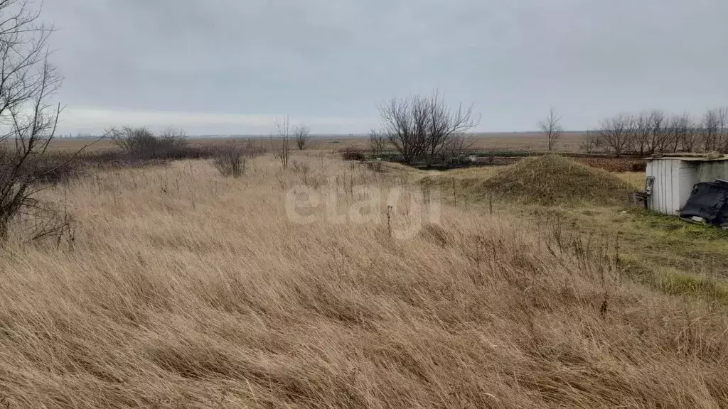 Участок в Воронежская область, Каширский район, Колодезянское с/пос, ... - Фото 2