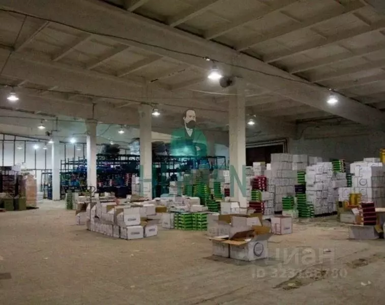 Производственное помещение в Московская область, Орехово-Зуевский ... - Фото 2