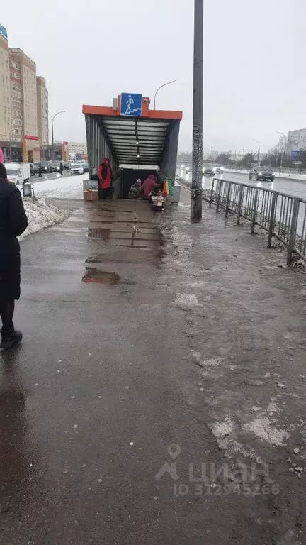 Торговая площадь в Татарстан, Набережные Челны Набережночелнинский ... - Фото 2