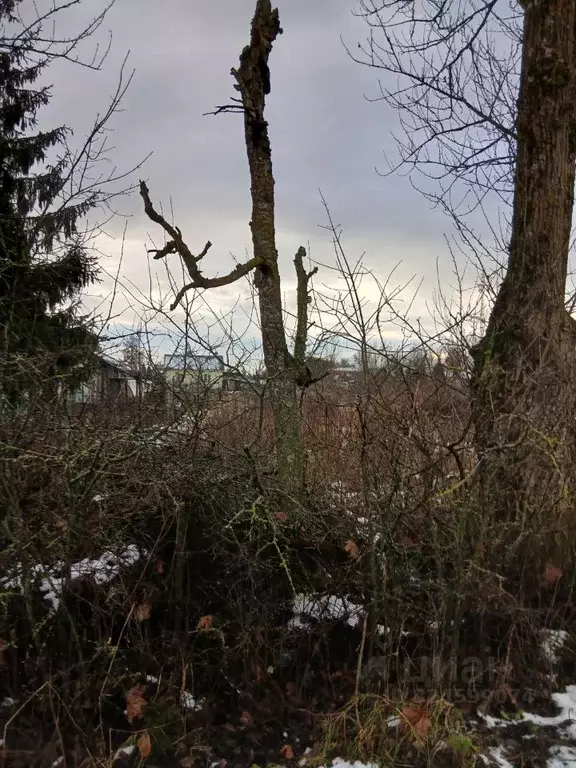 Участок в Новгородская область, Чудово ул. Гагарина, 67 (20.0 сот.) - Фото 2