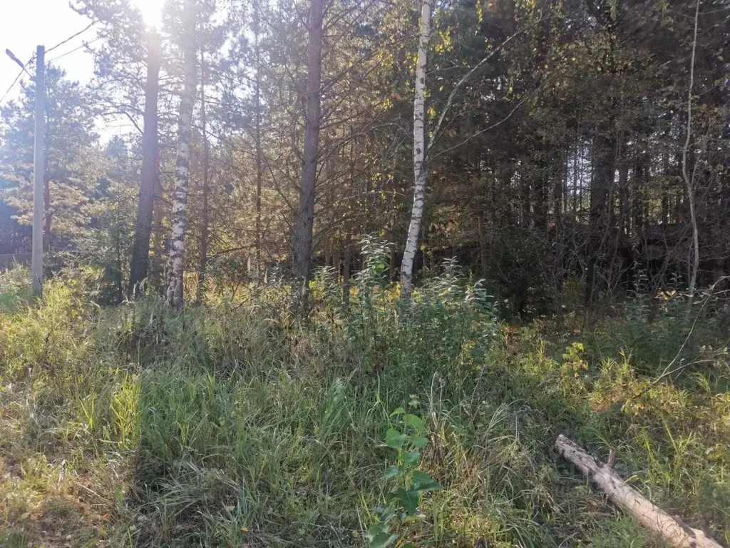 Участок в Московская область, Орехово-Зуевский городской округ, д. ... - Фото 0