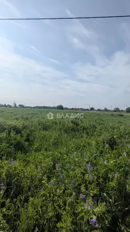 Участок в Марий Эл, Йошкар-Ола городской округ, д. Апшакбеляк ул. ... - Фото 0