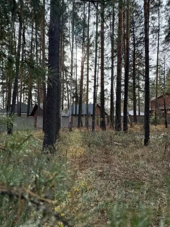 Участок в Иркутская область, Иркутский муниципальный округ, д. ... - Фото 2