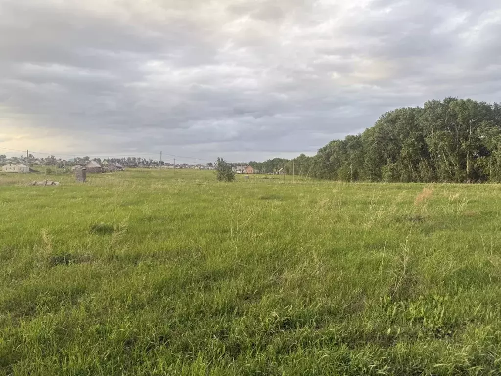 Участок в Алтайский край, Барнаул городской округ, пос. Центральный ... - Фото 0