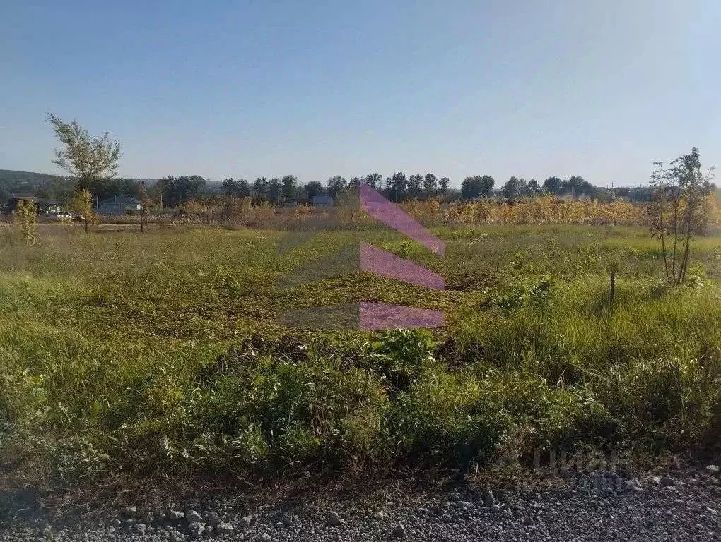 Участок в Воронежская область, Семилукский район, Губаревское с/пос, ... - Фото 1