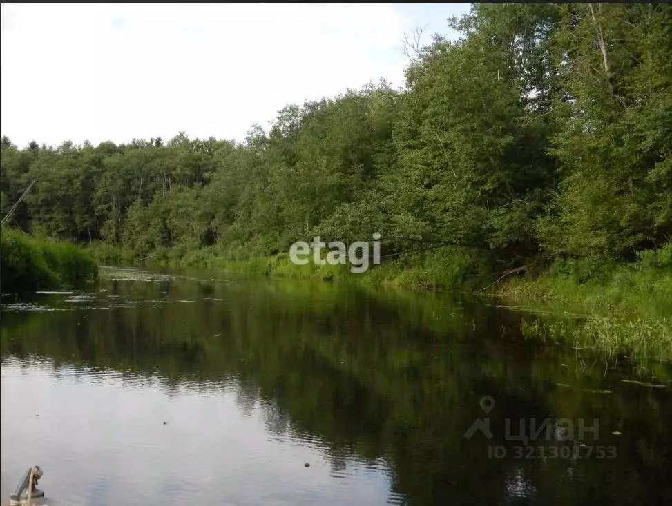 Участок в Ленинградская область, Лужский район, Заклинское с/пос, д. ... - Фото 0