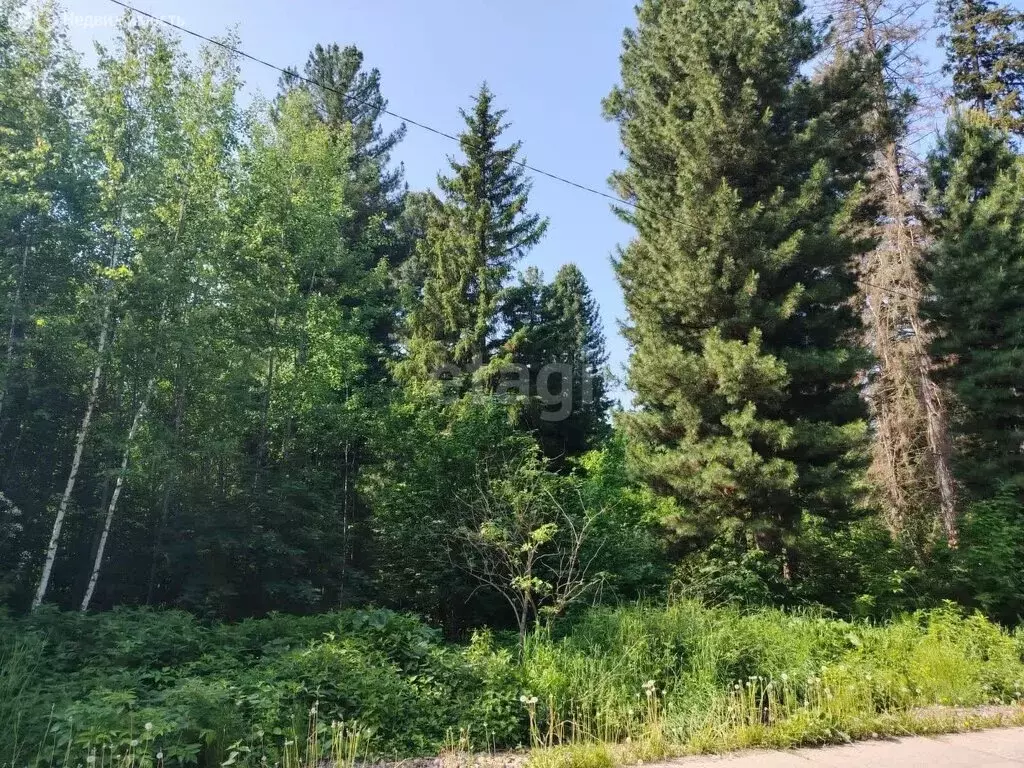 Участок в деревня Кандинка, Сибирская улица (12.3 м) - Фото 1