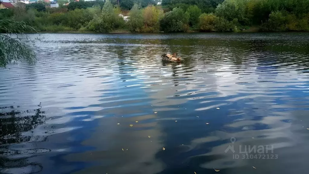 Дом в Башкортостан, Белорецк ул. П. Нахимова, 17 (140 м) - Фото 2