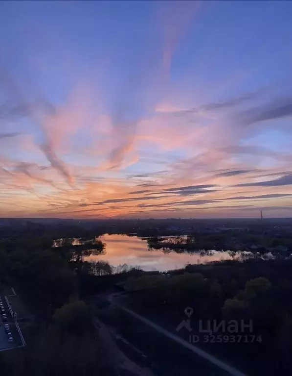 2-к кв. Пензенская область, Пенза ул. Баталина, 29 (50.0 м) - Фото 2