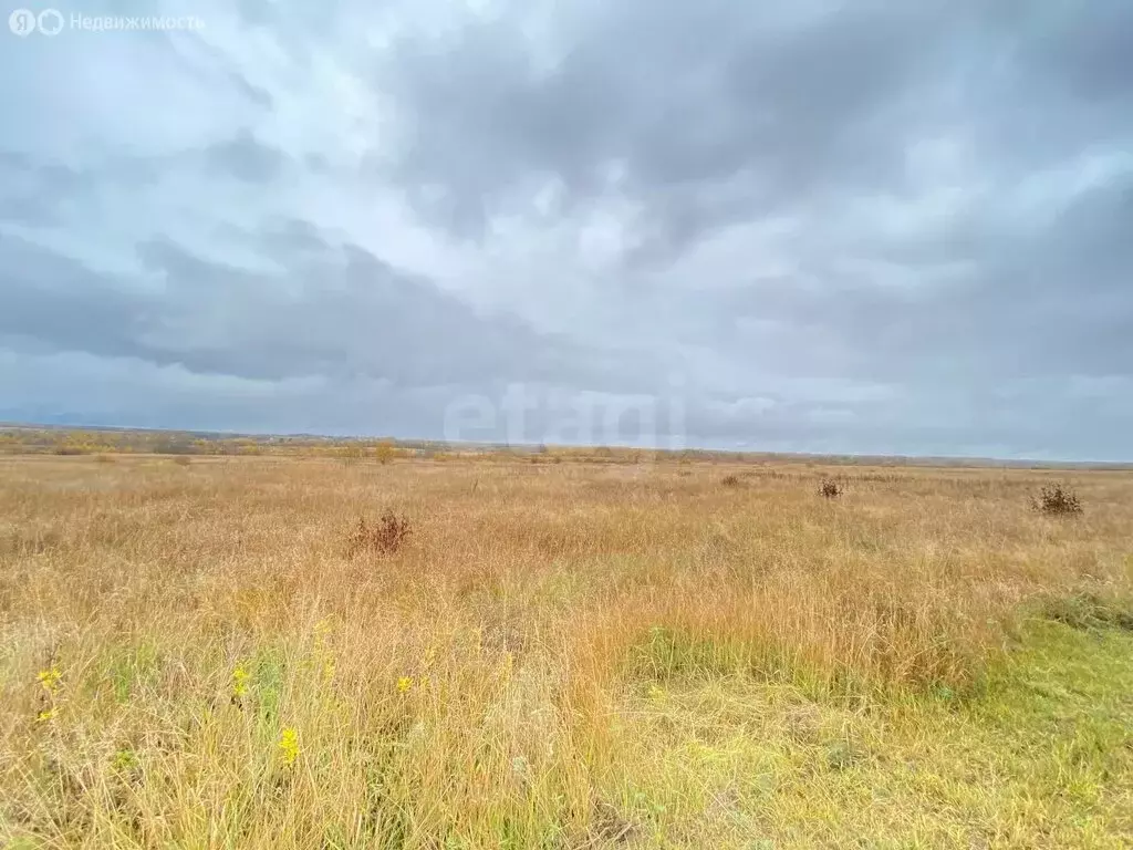 Участок в Боровичи, микрорайон Раздолье (947 м) - Фото 0