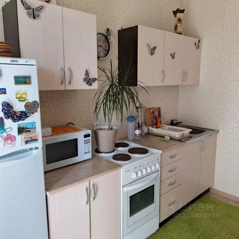 1-к кв. Воронежская область, Воронеж Троицкий кв-л, Олимпийский ... - Фото 2