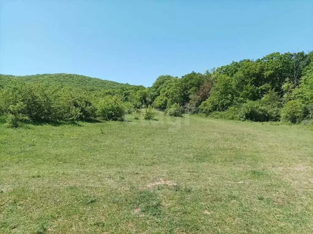 Участок в Крым, Кировский район, Старый Крым городское поселение пер. ... - Фото 1