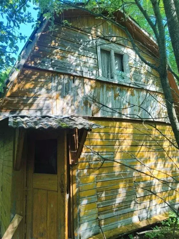 Дом в Владимирская область, Александровский муниципальный округ, ... - Фото 2